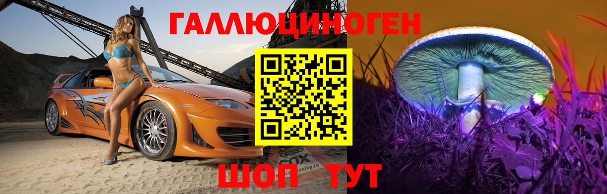 Стрежевой  Псилоцибиновые грибы Cubensis  Вход с VPN 